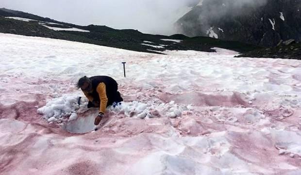 Alp dağlarında ‘kırmızı kar’ görüldü