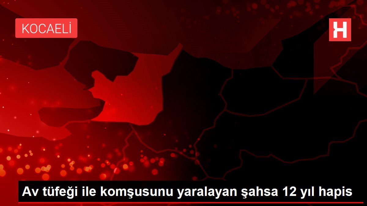 Av tüfeği ile komşusunu yaralayan şahsa 12 yıl hapis