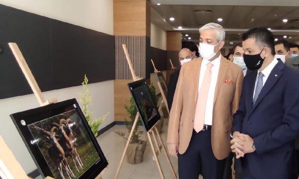 Bakan Pakdemirli: Dünyada biyolojik çeşitlilik azalırken Türkiye’de artıyor