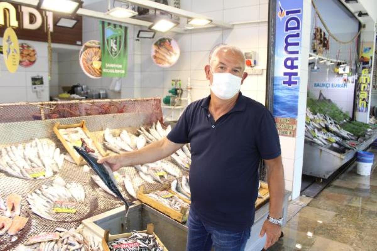BALIK PAZARINA GELENLER, ‘MARMARA BALIĞI MI?’ DİYE SORUYOR