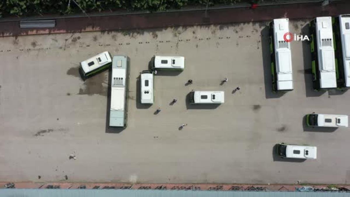 Belediye halk otobüsleri 19 Mayıs’ı koreografi ile kutladı