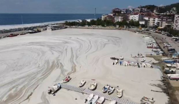Bilim insanları müsilaj oluşumunun Marmara Denizi’ne etkilerini araştırıyor