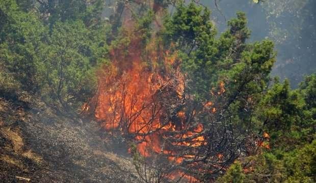 Bingöl’de orman yangını! Mücadele ikinci gününde de devam ediyor