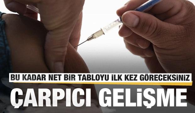 Bu kadar net bir tabloyu ilk kez göreceksiniz! Çarpıcı sonuçlar