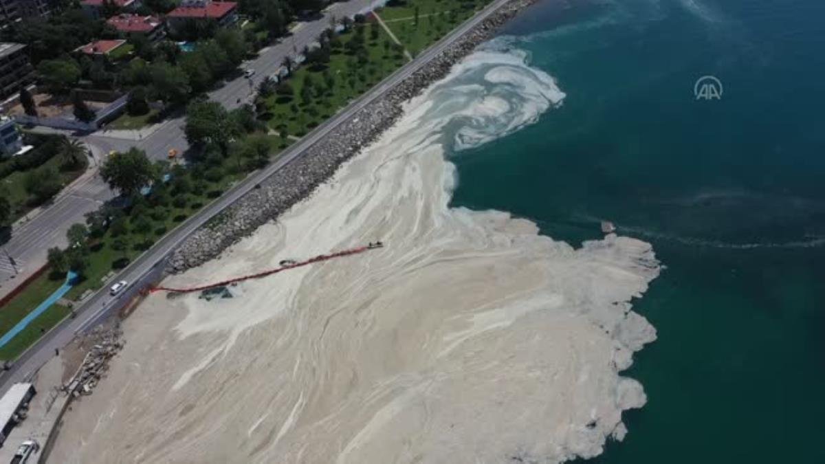 Caddebostan Sahili’nde müsilaj temizliğine başlandı