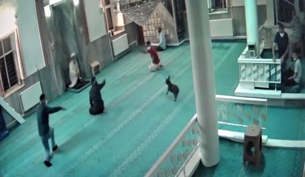 Camide hayatlarının şokunu yaşadılar!