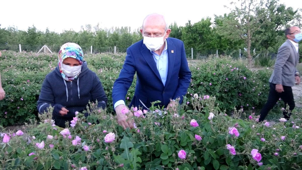 CHP Genel Başkanı Kılıçdaroğlu Isparta’da işçilerle gül topladı