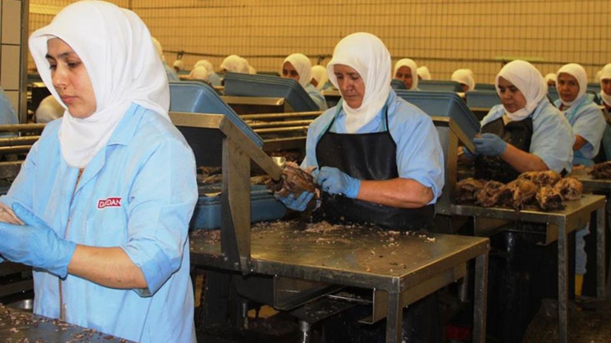 Dardanel’den dev yatırım! Yunan rakibi G. Kallimanis SA.’yı 6 milyon euro’ya satın alıyorlar