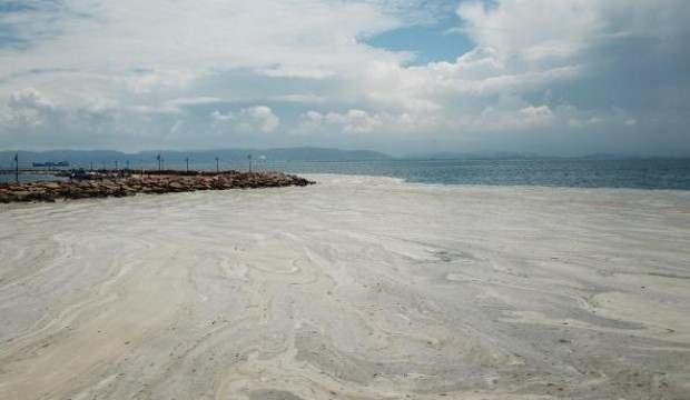 Darıca kıyıları müsilajla kaplandı
