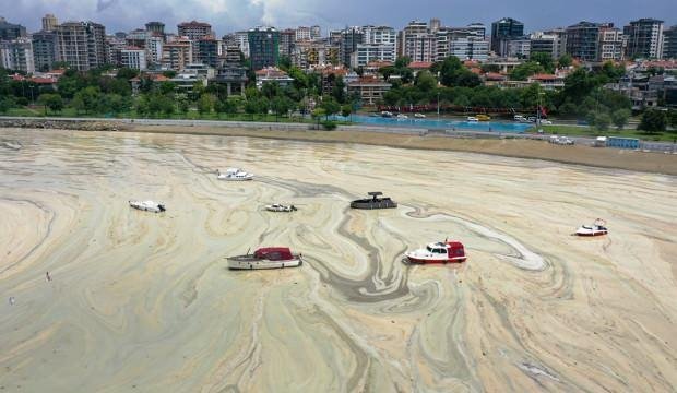 Deniz salyası TÜBİTAK raporunda: Göz göre göre gelmiş