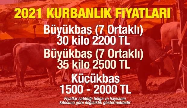Diyanet Yurt İçi ve Yurt Dışı Kurban Fiyatlarını açıkladı! Büyükbaş ve Küçükbaş 2021 güncel kurbanlık fiyatları