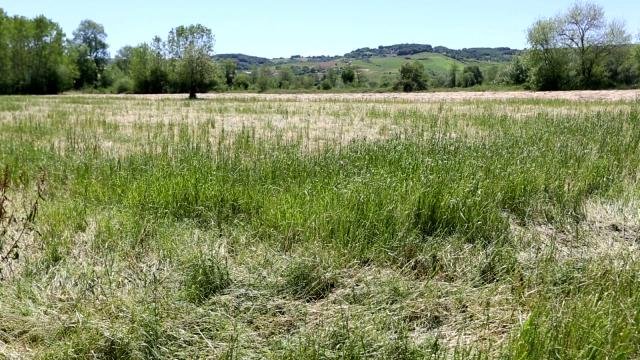Dolu yağışından zarar gören çiftçilerin zararları karşılanacak