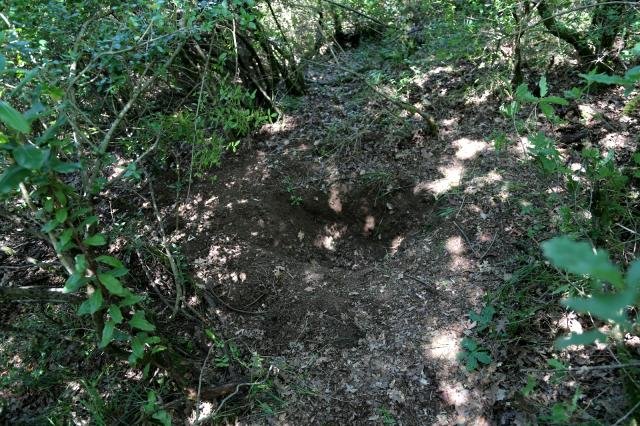 Eşinin yeğeni tarafından öldürülen kadının gömüldüğü yer görüntülendi