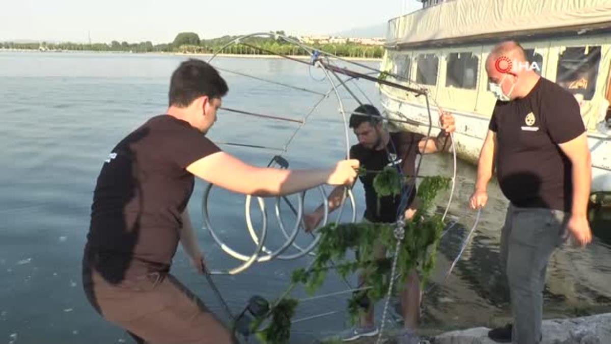Gençlerin projesi denizi temizleyerek canlı popülasyonunu arttıracak