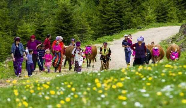 Göçle dolan yaylalarda ‘ toplanma ‘ uyarısı
