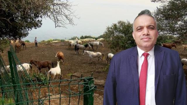 İBB’nin kayıp atlarının faturası Dörtyol Belediyesi Veteriner İşleri Müdürü’ne kesilecek! Memurluktan çıkarılması isteniyor