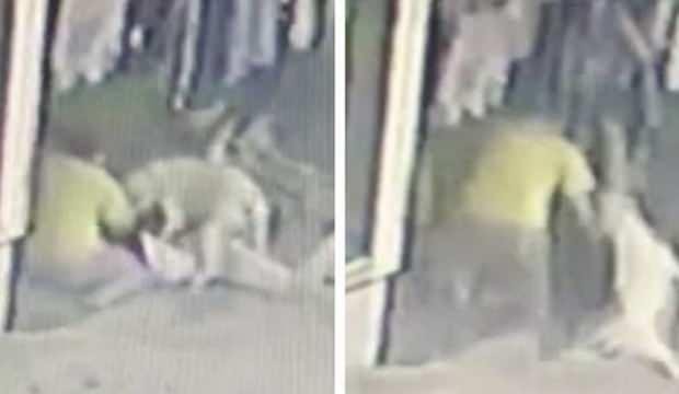 İstanbul’da 16 yaşındaki kıza pitbull saldırısı! 56 dikiş…