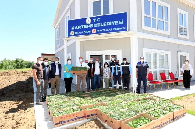 İzmit Belediyesi’nden ildeki tüm çiftçilere fide desteği
