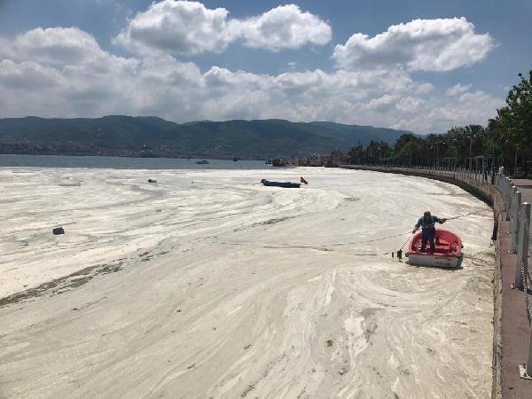 İzmit Körfezi yeniden deniz salyası ile kaplandı