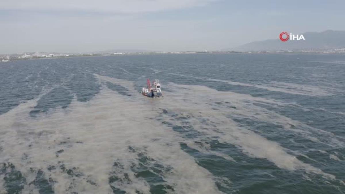 İzmit Körfezi’nde 50 günde 150 ton deniz salyası toplandı