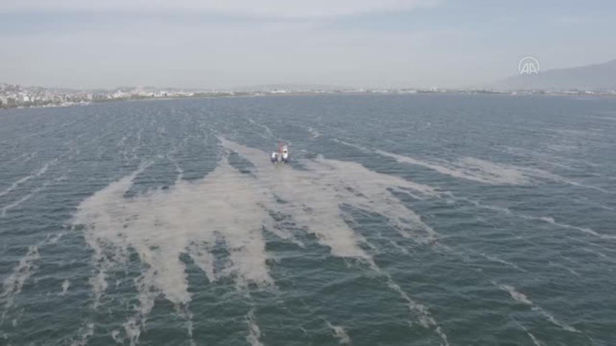 İzmit Körfezi’nde 50 günde 150 ton deniz salyası toplandı