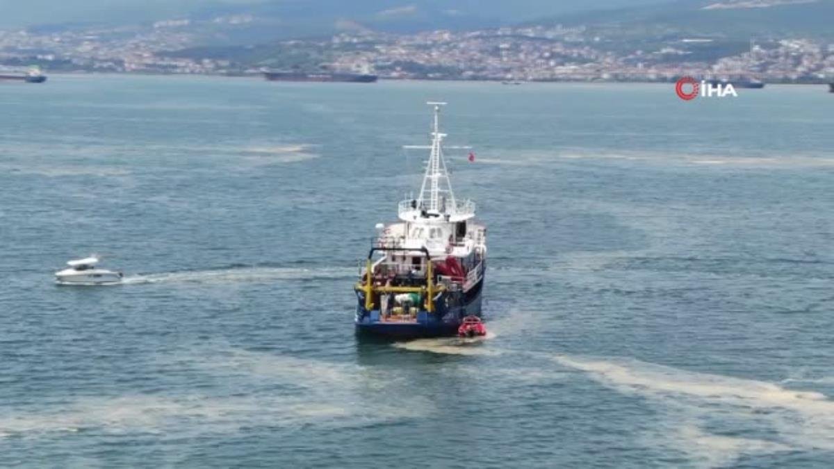 İzmit Körfezi’nde deniz salyası seferberliği… 200 tondan fazla deniz salyası temizlendi