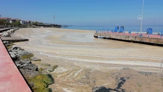 İzmit Körfezi’nde müsilaj etkisini sürdürüyor