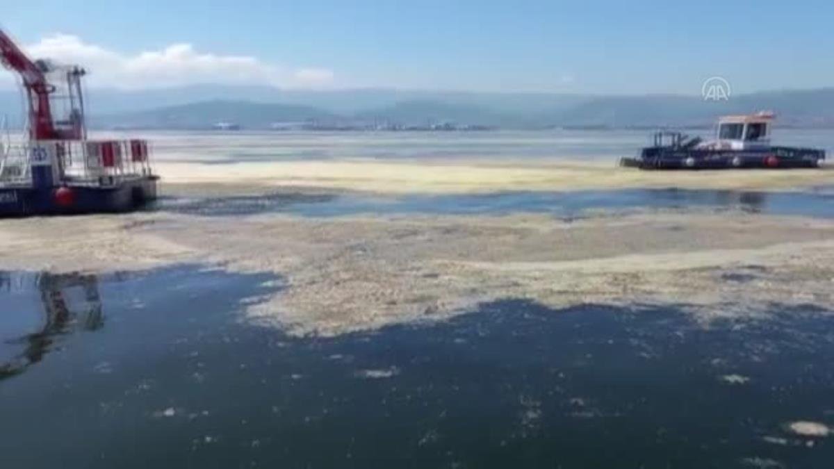 İzmit Körfezi’nde müsilaj temizleme çalışmaları devam ediyor