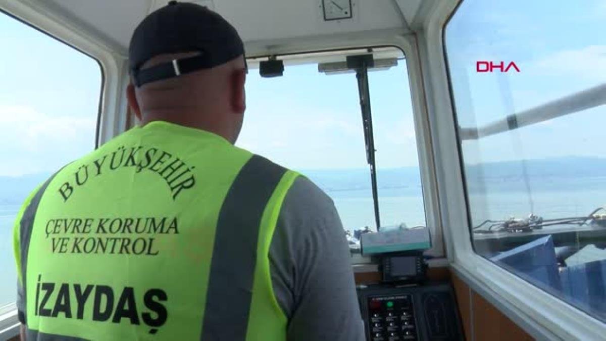 İzmit Körfezi’nden her gün 2,5 ton müsilaj toplanıyor