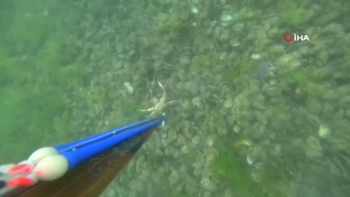 İzmit Körfezi’nin altında ürperten görüntüler