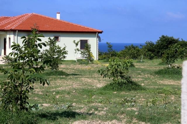 Kardeşini öldüren ağabeye müebbet hapis