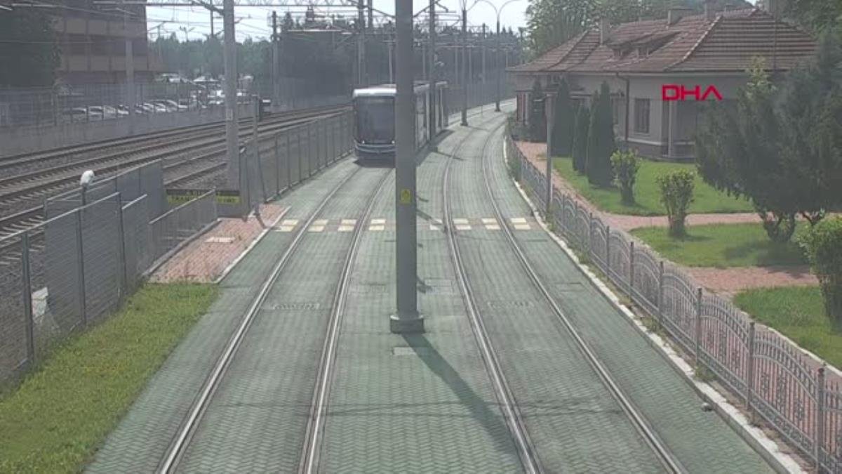 KOCAELİ TRAMVAYI DURDURUP, KAPLUMBAĞAYI YOLUN DIŞINA BIRAKTI