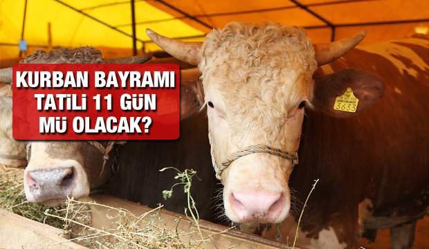 Kurban Bayramı 11 gün tatil olacak mı? 2021 Kurban Bayramı ne zaman Temmuz’un kaçında?