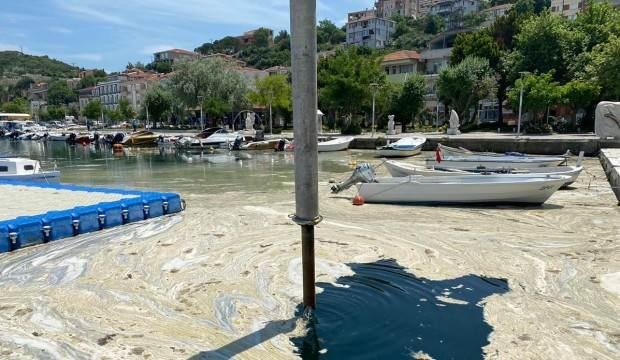 Marmara Denizi için oluşturulan Bilim ve Teknik Kurulu açıklanacak