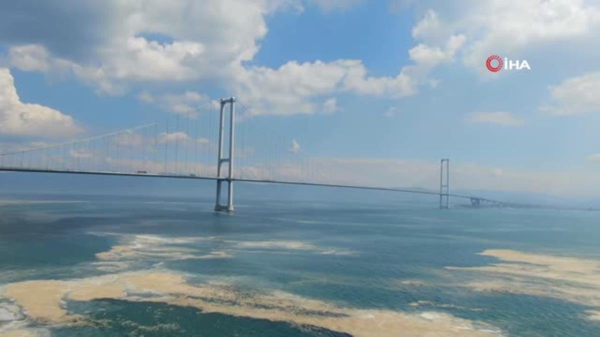 Müsilaj İzmit Körfezi’nde etkisini sürdürüyor