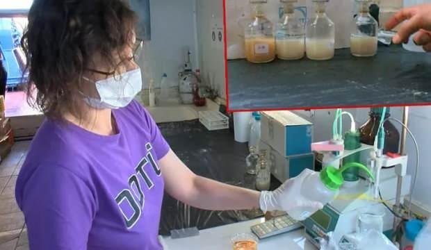 Müsilaj sorununda sevindirici sonuç