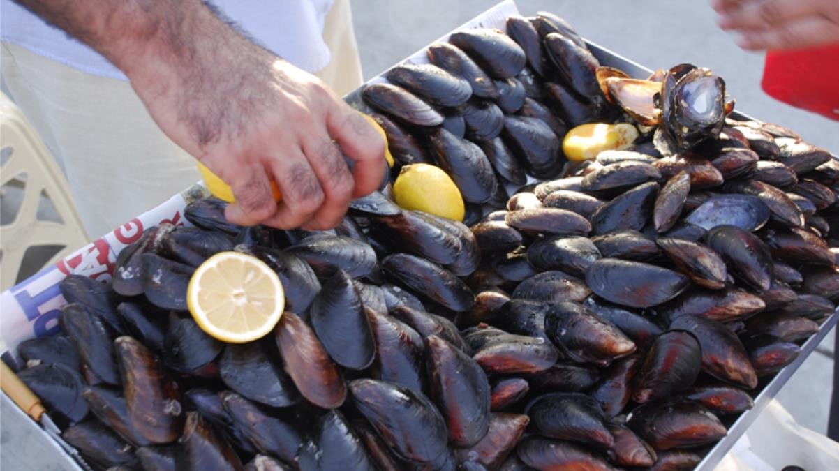 Nöroloji uzmanından müsilaj uyarısı: Bu dönemde kabuklu deniz ürünlerini tüketmeyin, felç riski var