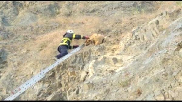Son dakika haberi… Kayalıklarda mahsur kalan ‘Zalim’ i itfaiye kurtardı