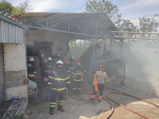 Son dakika haberleri! Kocaeli’de büyükbaş besi çiftliğinde çıkan yangın söndürüldü