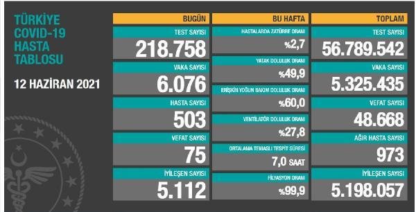 Son dakika haberleri: Koronavirüs salgınında günlük vaka sayısı 6 bin 76 oldu