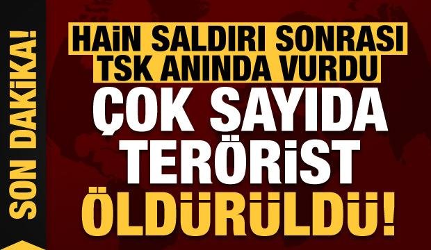 Son dakika: TSK’nın cezalandırma atışlarında çok sayıda terörist öldürüldü!