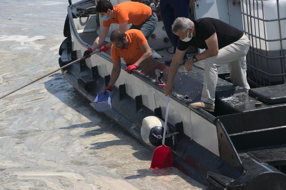 Vatandaşlar deniz salyasını küreklerle topladı