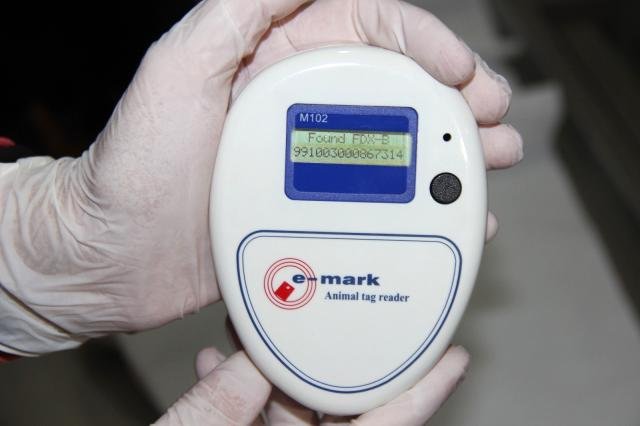 Veterinere şaşırtan soru: “Kedi, köpeğe taktığınız çipi kızıma da takabilir misiniz?’