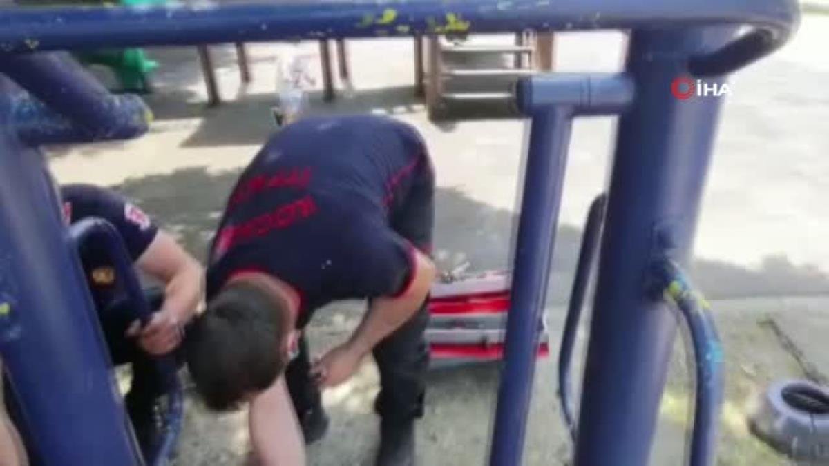 Yuvada sıkışan yavru kuşların yardımına itfaiye koştu