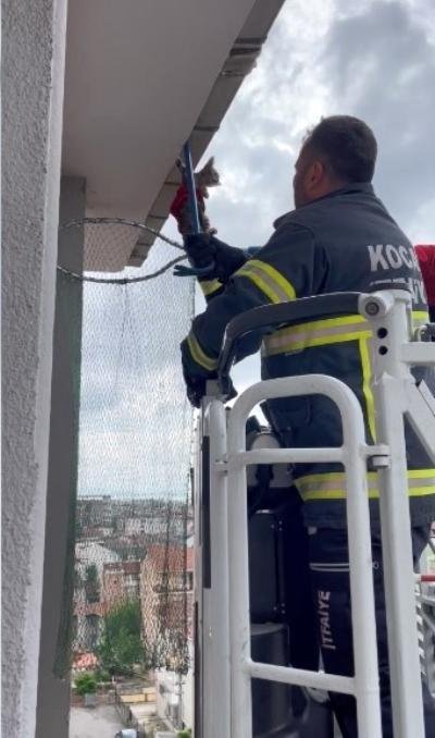 6 katlı apartmanın çatı katında asılı kalan kedi, son anda kurtarıldı