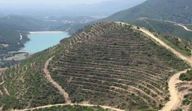Adana’da geçen yıl orman yangınında zarar gören alanın yüzde 80’i ağaçlandırıldı