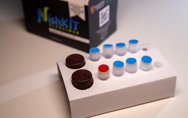Alzheimer’a yakalanama riskini azaltacak PCR tanı kiti geliştirdiler