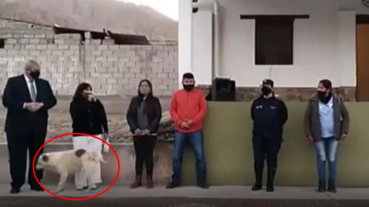 Arjantin’de konuşma yapan belediye başkanının üzerine köpek idrarını yaptı