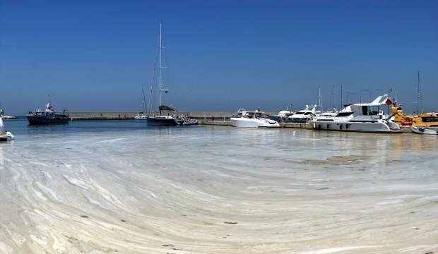 Bakan Kurum toplanan müsilaj miktarını açıkladı
