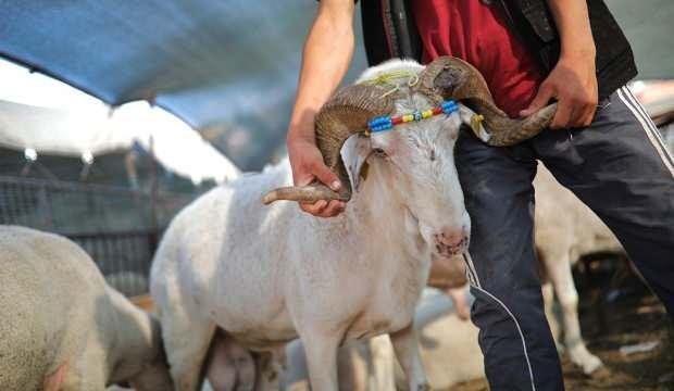 Deniz Feneri Derneği, Kurban Bayramı’nda 30 ülkeye ulaşacak